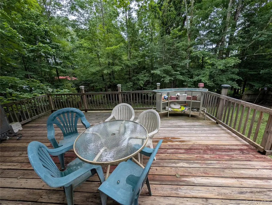 55 E Reindeer Trail, Smallwood, NY 12720 - #3