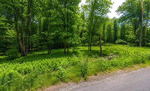 135 Rose Valley, Thompsonville, NY 12701