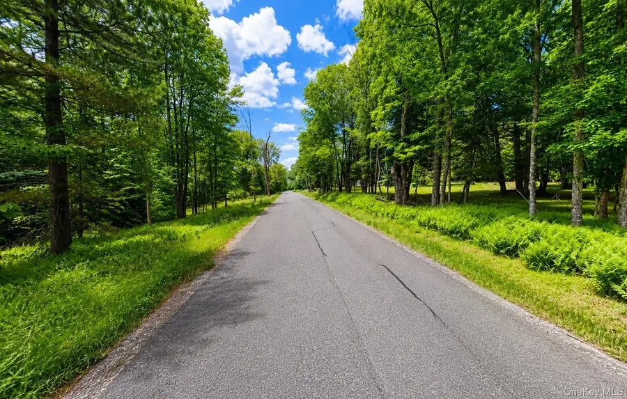 135 Rose Valley, Thompson, NY 12701 - #2