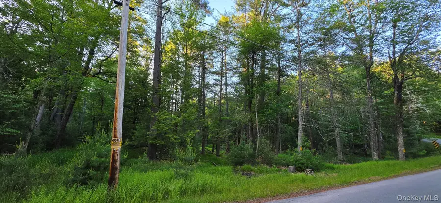 Lot 3.3 Old Tacy Road, Bethel, NY 12720 - #2