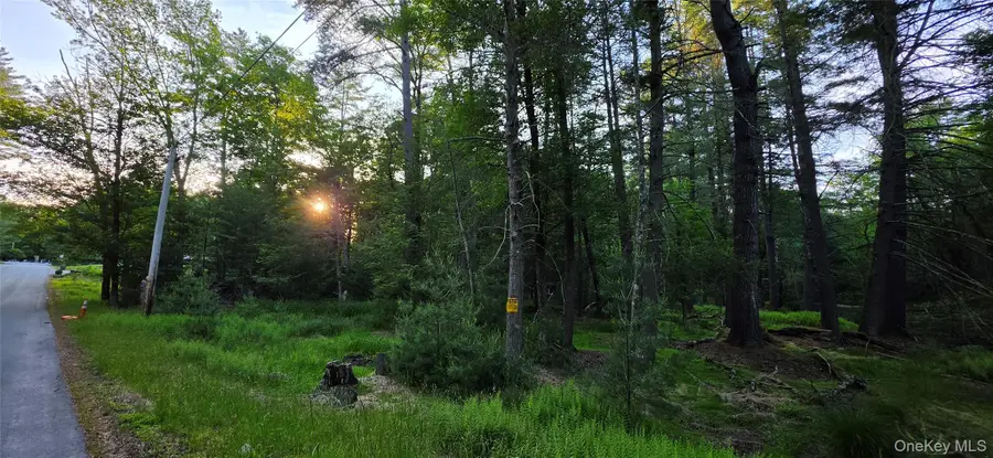 Lot 3.3 Old Tacy Road, Bethel, NY 12720 - #3