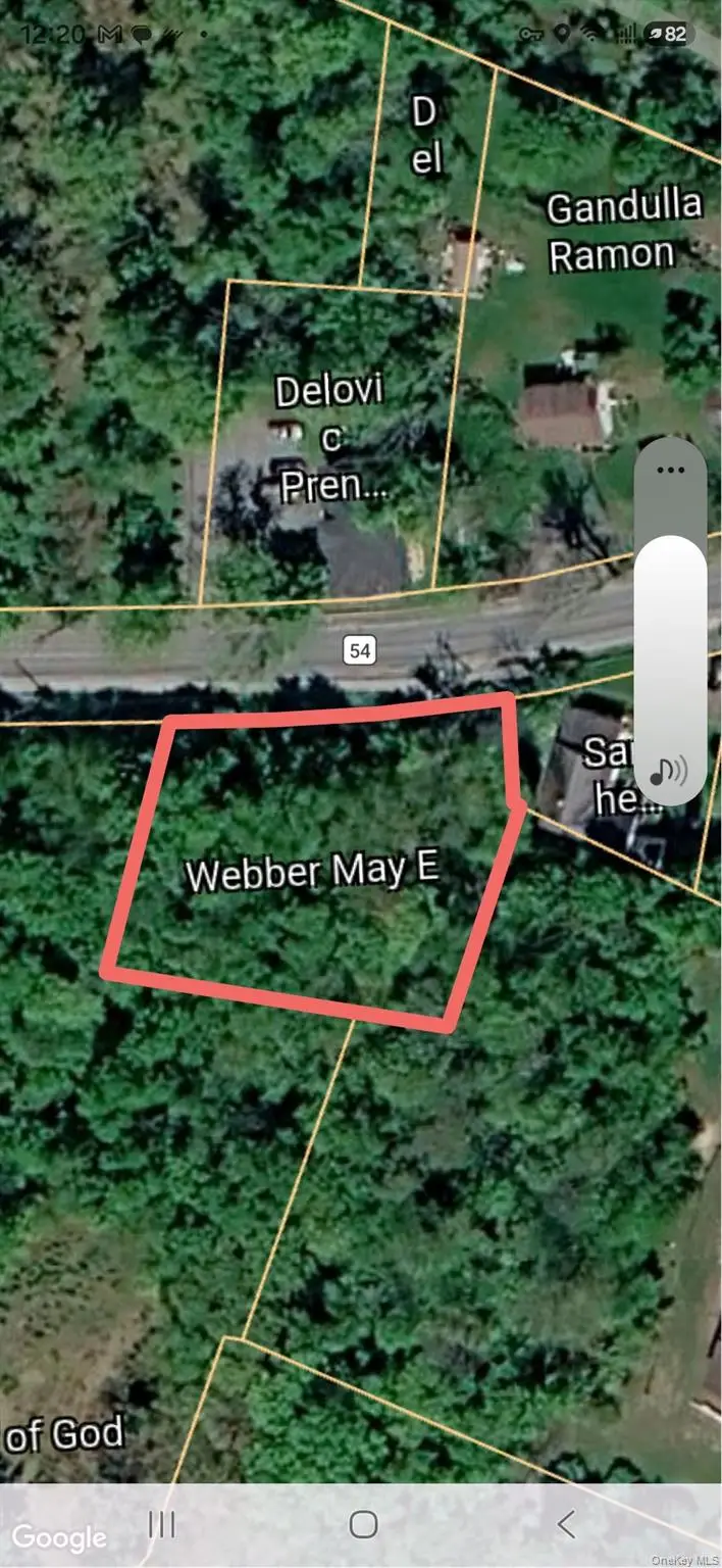 T/B/D Mountiandale Road, Fallsburg, NY 12733 - #3