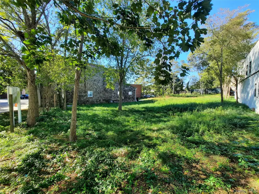 226 W Main Street, Riverhead, NY 11901 - #2