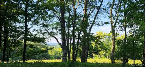 Lot 1.35 W Shore Road, Bethel, NY 12720