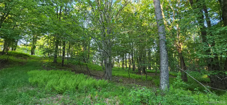 Lot 1.35 W Shore Road, Bethel, NY 12720 - #3
