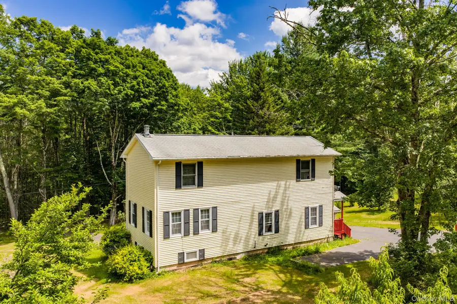 10 Hoffman Road, Hankins, NY 12741 - #2