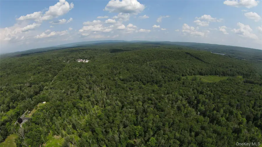 Co Hway 158, Fallsburg, NY 12733 - #3