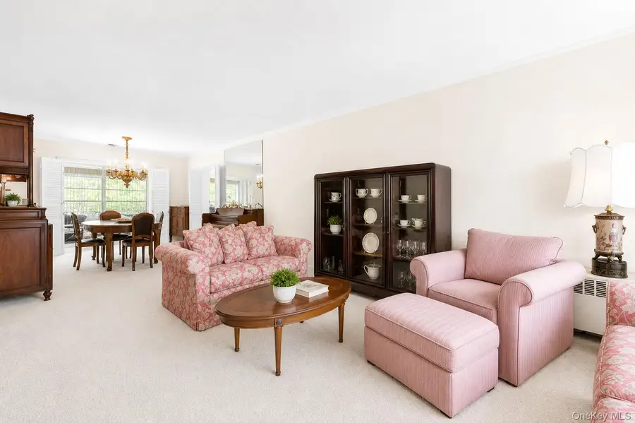 21909 Peck Avenue, Queens Village, NY 11427 - #3