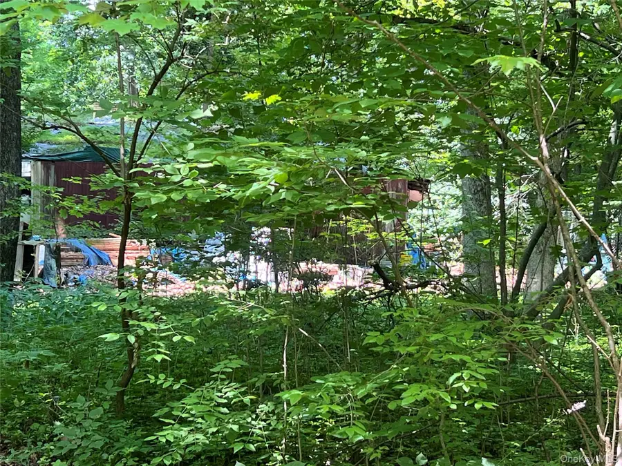 25 Hornbeck Ridge Rd, Poughkeepsie, NY 12603 - #3