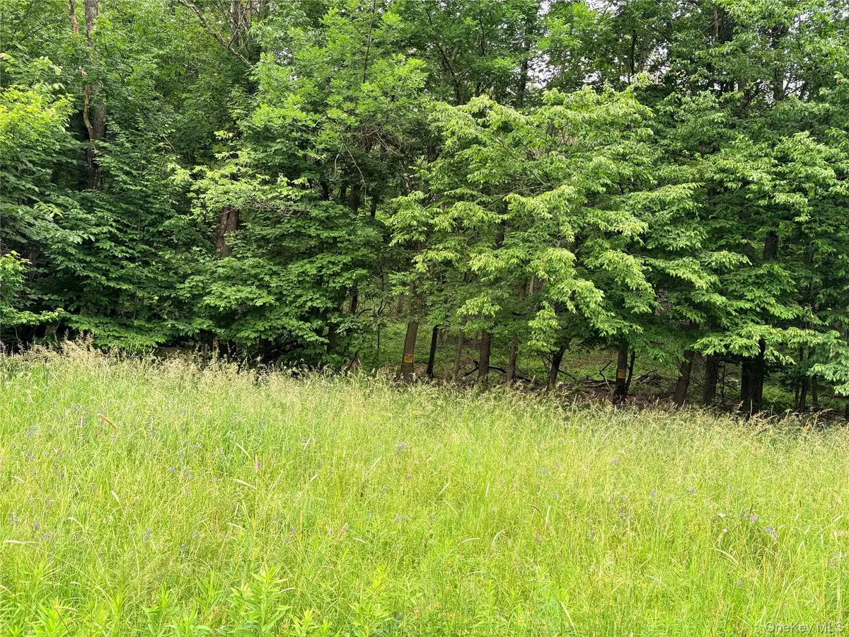 T R 84, Fremont Center, NY 12736 - #1