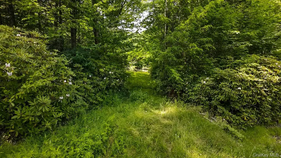 Taylor Road, Mountain Dale, NY 12763 - #2
