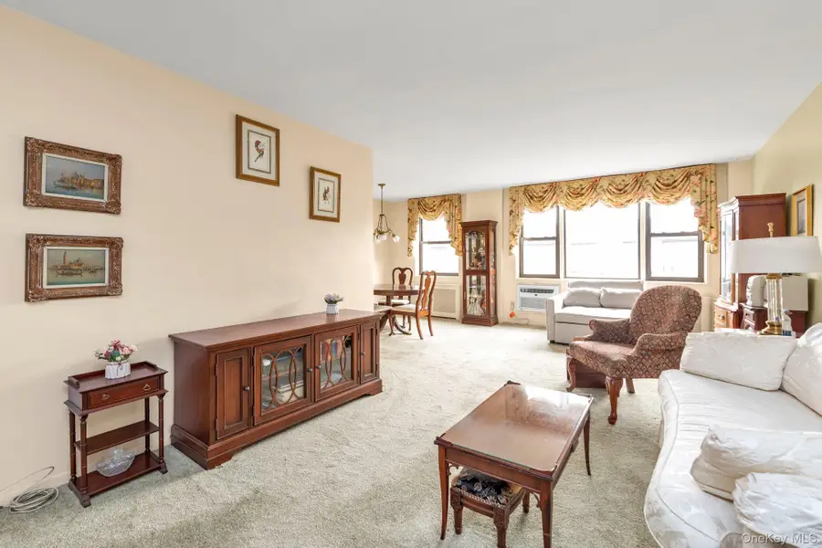 3 Birchwood Court #5G, Mineola, NY 11501 - #3
