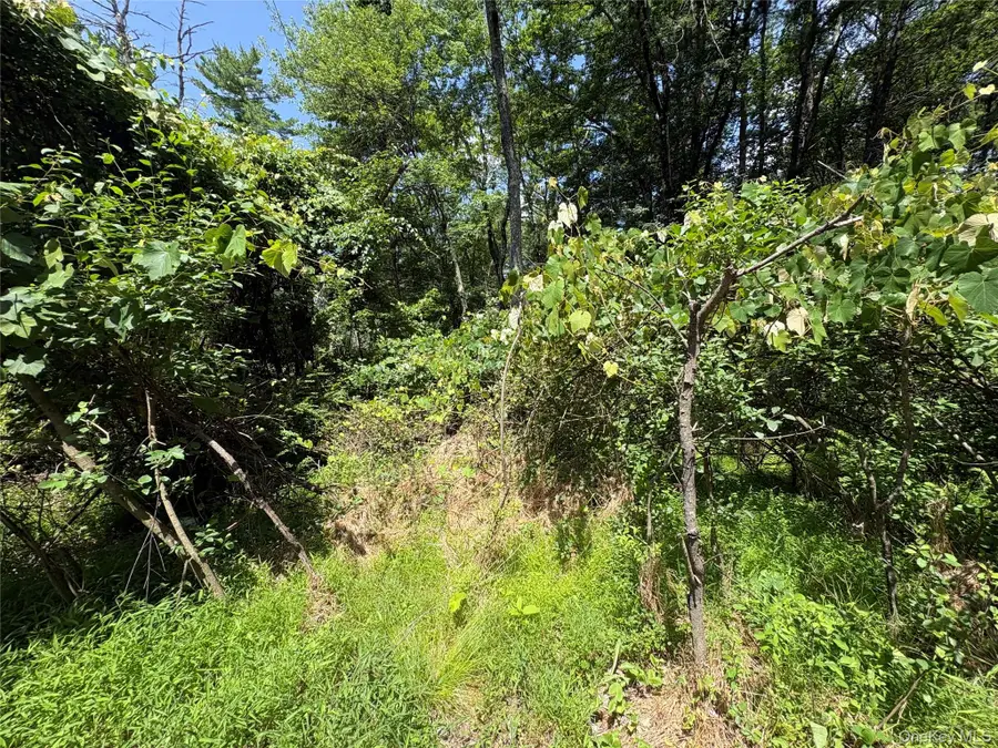 Belair Road, Glen Spey, NY 12737 - #3