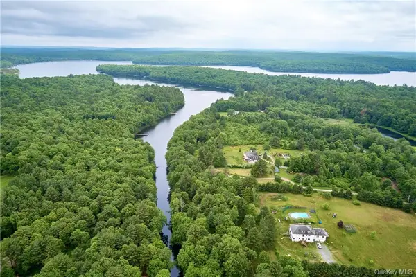 Lot 2 Chapin Trail, White Lake, NY 12786