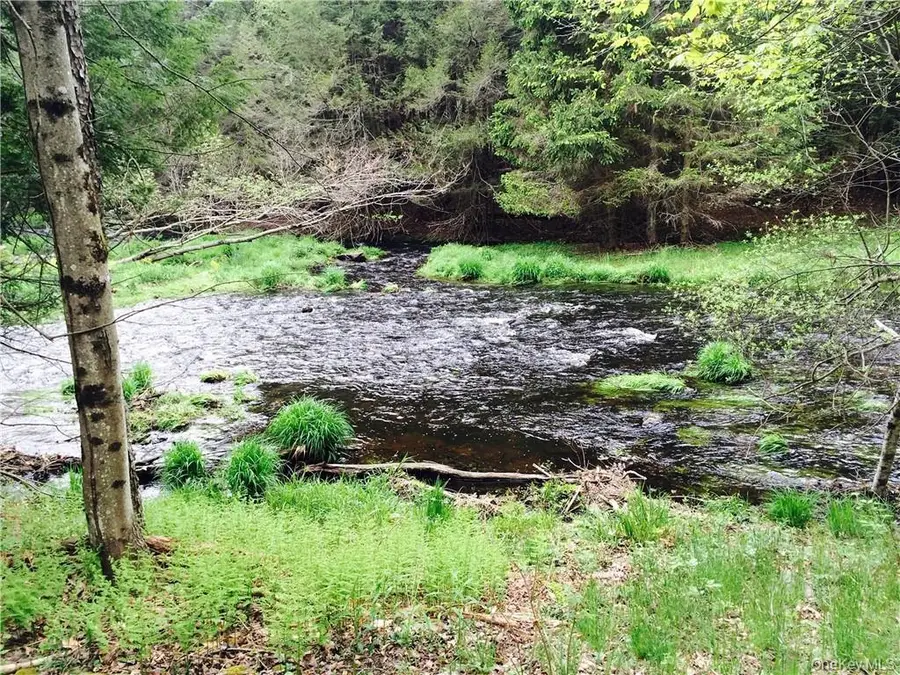 Lot 2 Chapin Trail, White Lake, NY 12786 - #2
