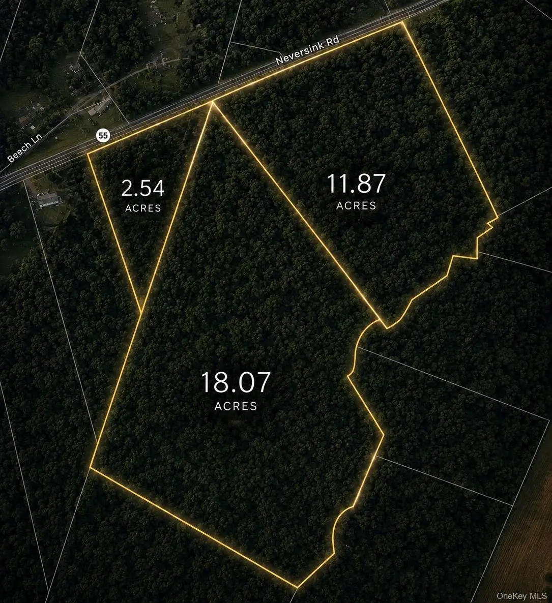 3 Lots Neversink Road, Liberty, NY 12754 - #1