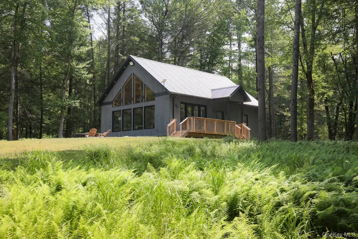 305 Reyer Road, Narrowsburg, NY 12764 - #1