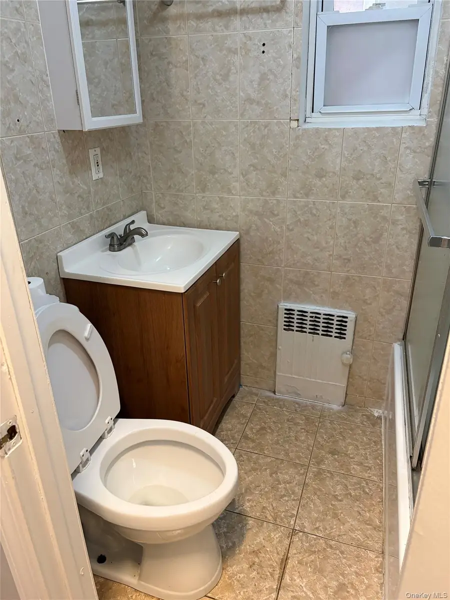 393 Crescent Street, Brooklyn, NY 11208 - #3