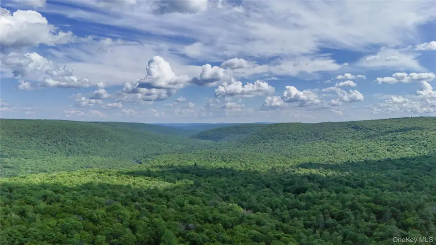 X Wilderness Trail, Forestburgh, NY 12777 - #2