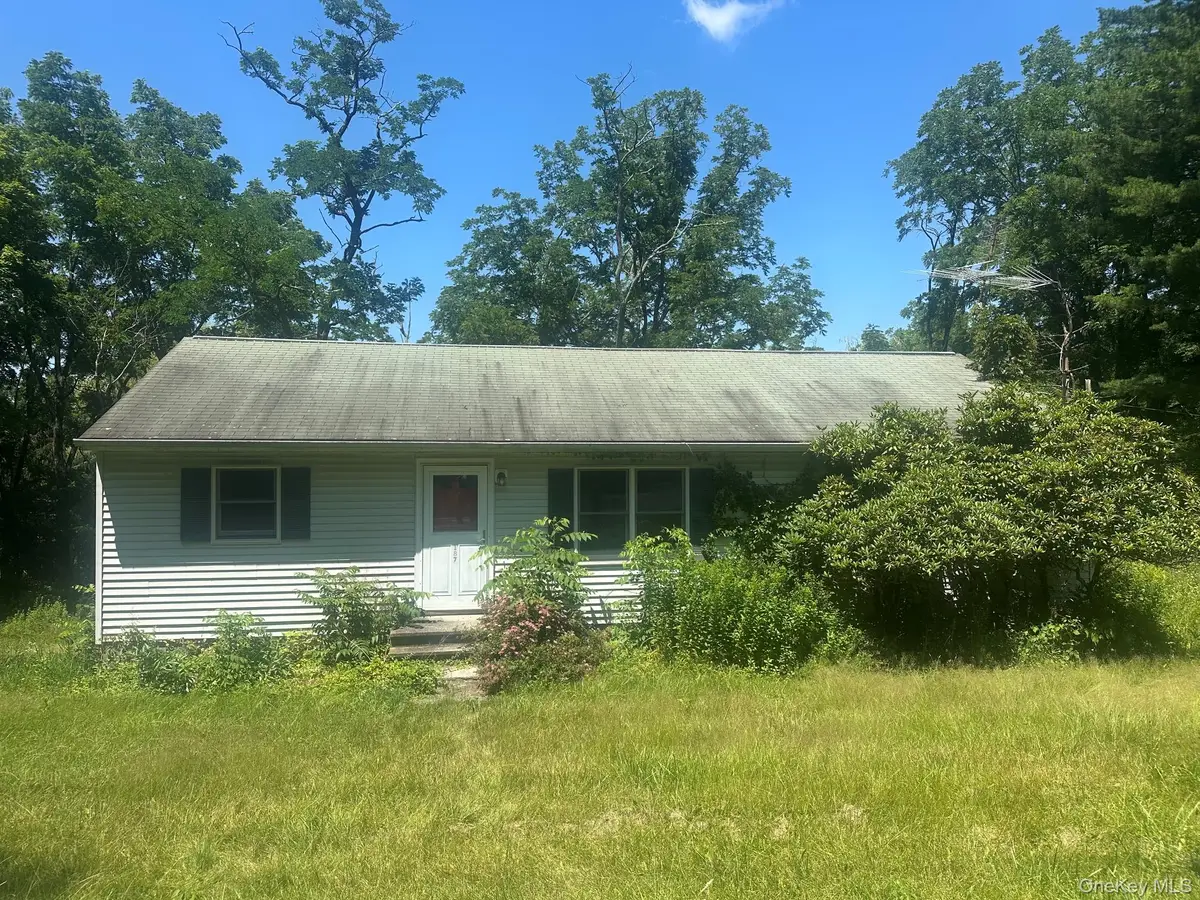 187 Allen Road, Salt Point, NY 12578 - #1