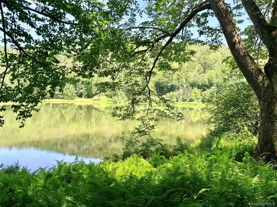 Doyle Road, Roscoe, NY 12776 - #2