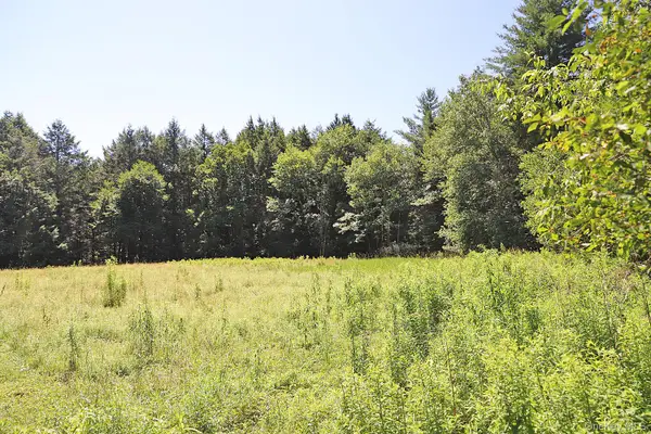 Lot 4A Hurd Road, Bethel, NY 12720