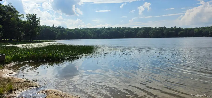 Lot 34.25 Lakeview Drive Road, Highland Lake, NY 12743 - #2