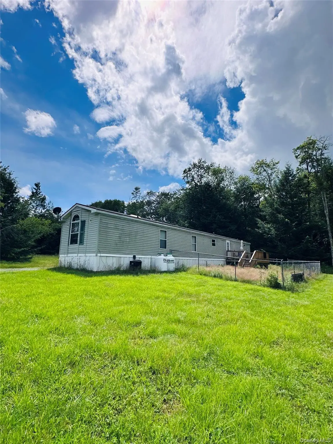 384 Lenape Lake Road, Livingston Manor, NY 12758 - #1