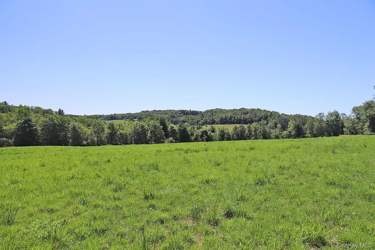 Lot 4B Hurd Road, Bethel, NY 12720 - #1