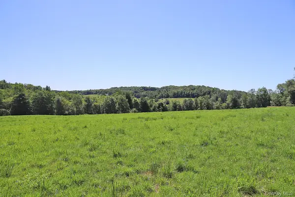 Lot 4B Hurd Road, Bethel, NY 12720