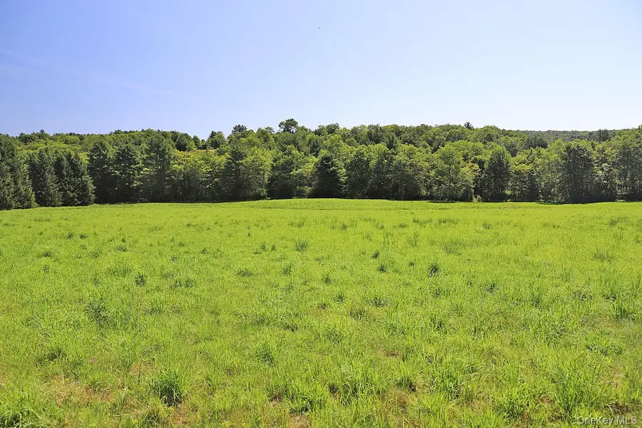Lot 4B Hurd Road, Bethel, NY 12720 - #2