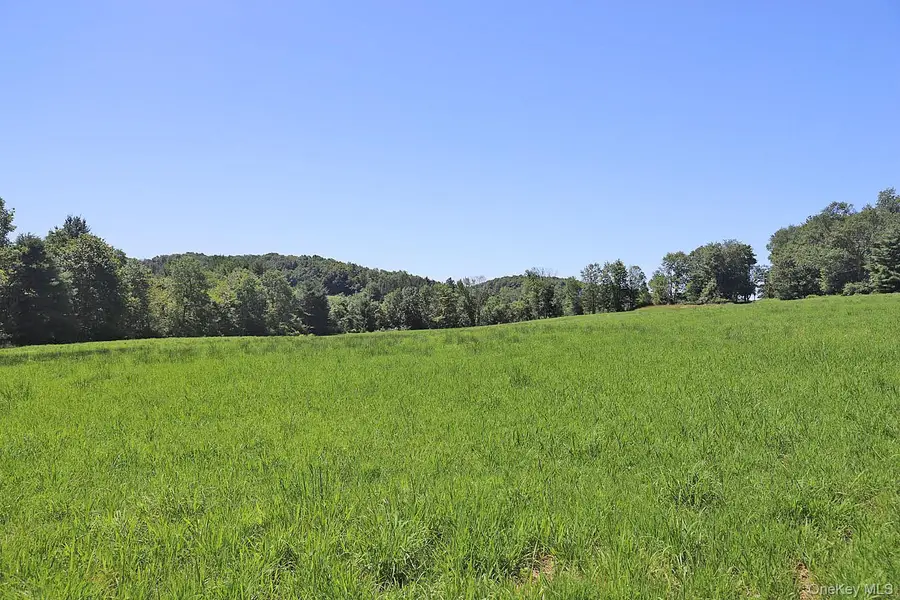 Lot 4B Hurd Road, Bethel, NY 12720 - #3
