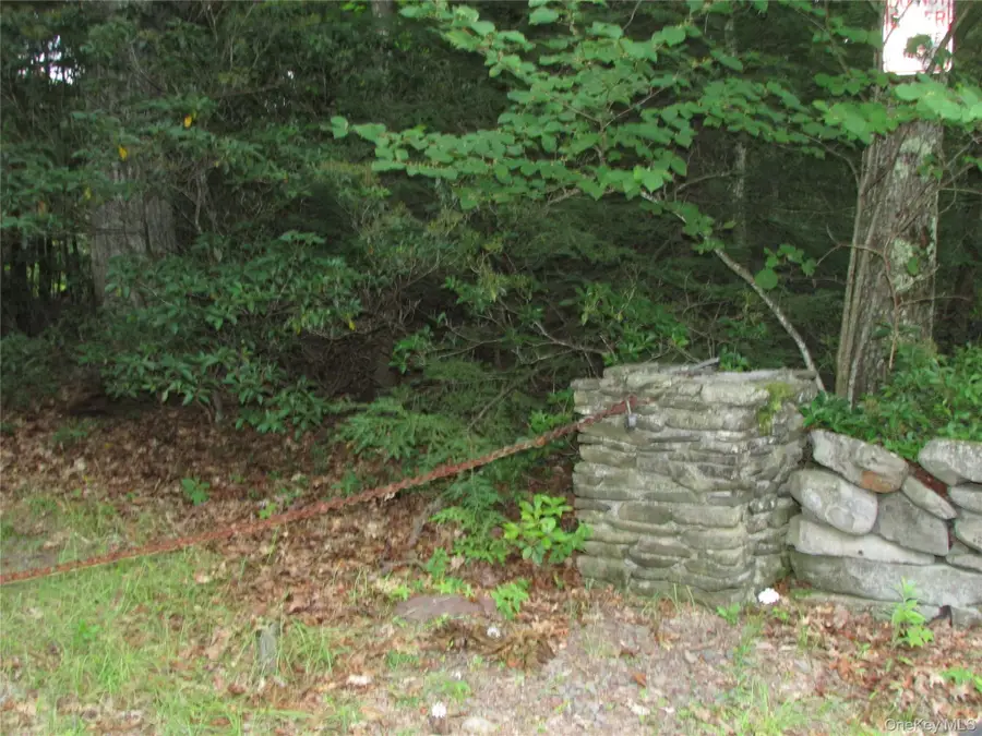 Fox Hill Road Tr 55, Mountain Dale, NY 12733 - #2