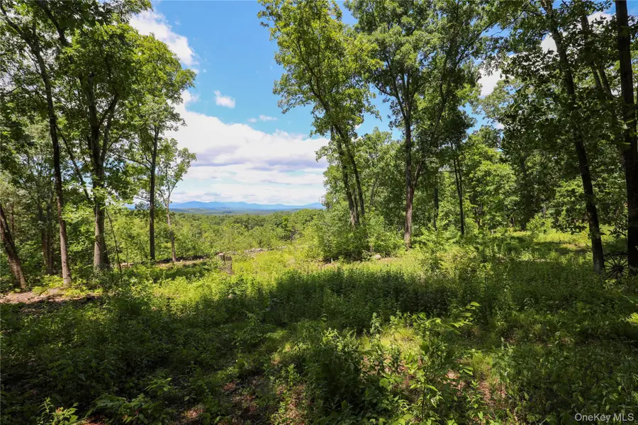 814 Cow Hough Road, New Paltz, NY 12561 - #3