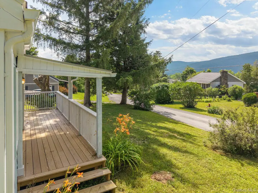 162 Gorge Rd, Middleburgh Ny, Middleburgh, NY 12122 - #3