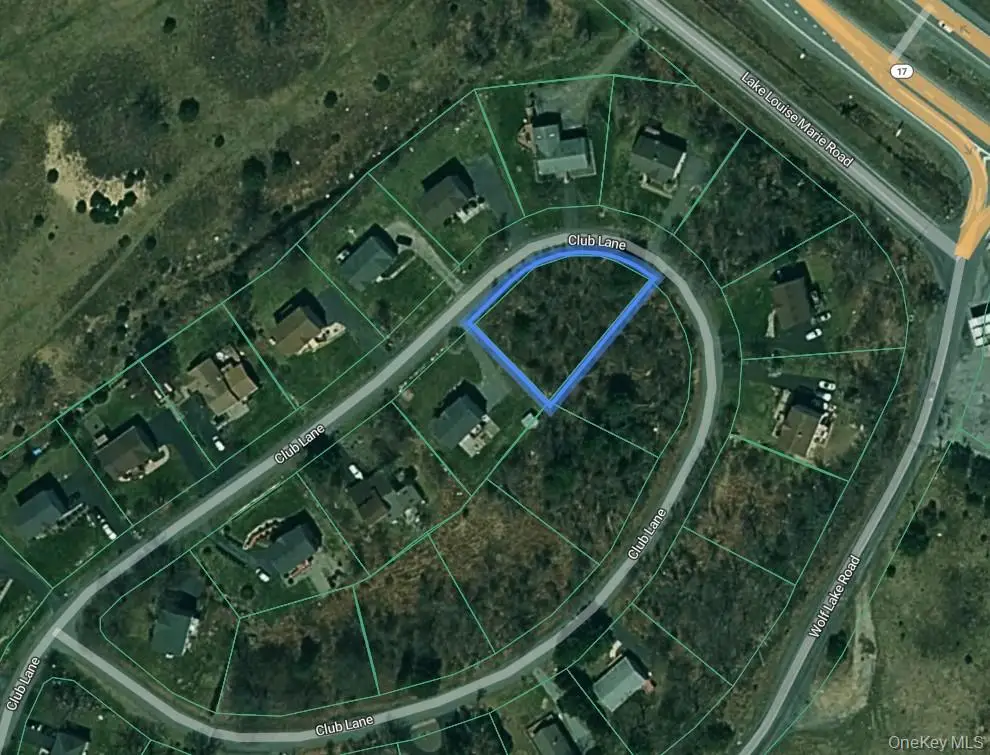 Club Lane, Rock Hill, NY 12775 - #1