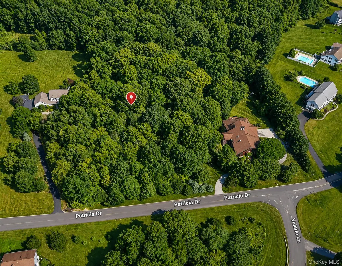 Patricia Drive, Pleasant Valley, NY 12569 - #1