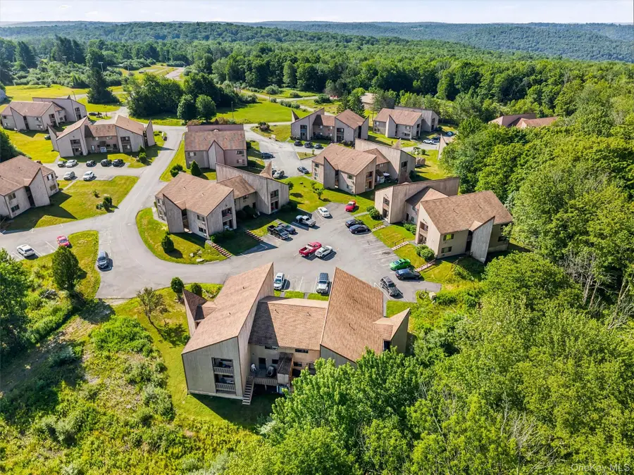 71 Davos Point #I9, Woodridge, NY 12789 - #3