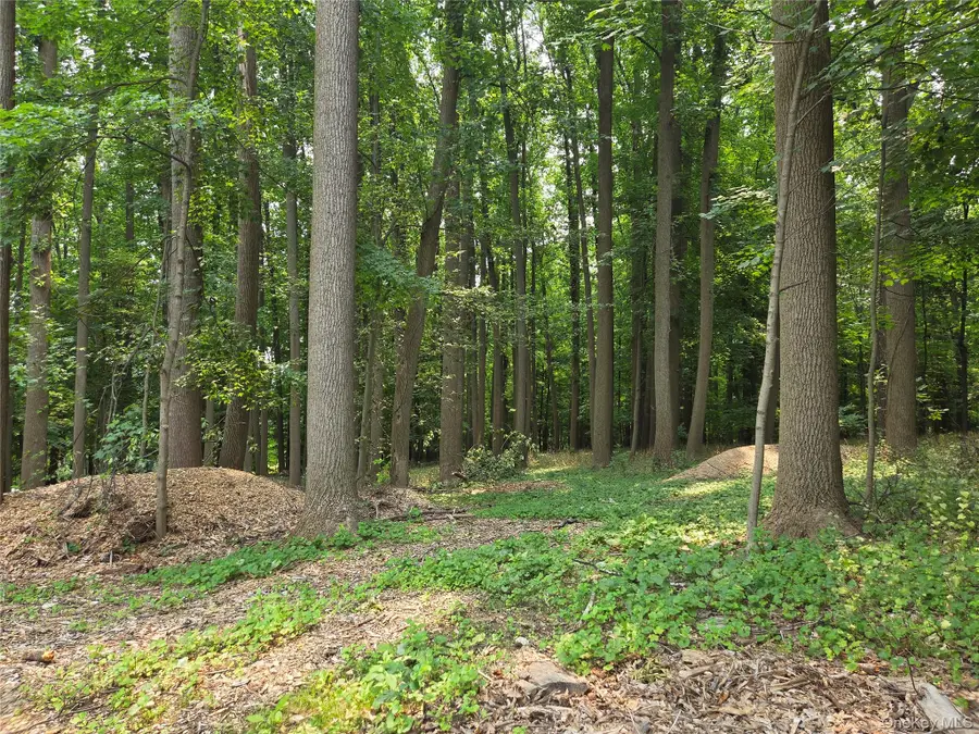 4 Bianca Way, Amawalk, NY 10501 - #2