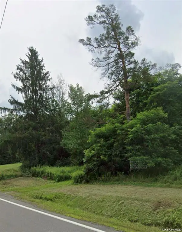 14951 State Route 23, Prattsville, NY 12468 - #2
