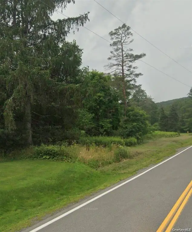 14951 State Route 23, Prattsville, NY 12468 - #3