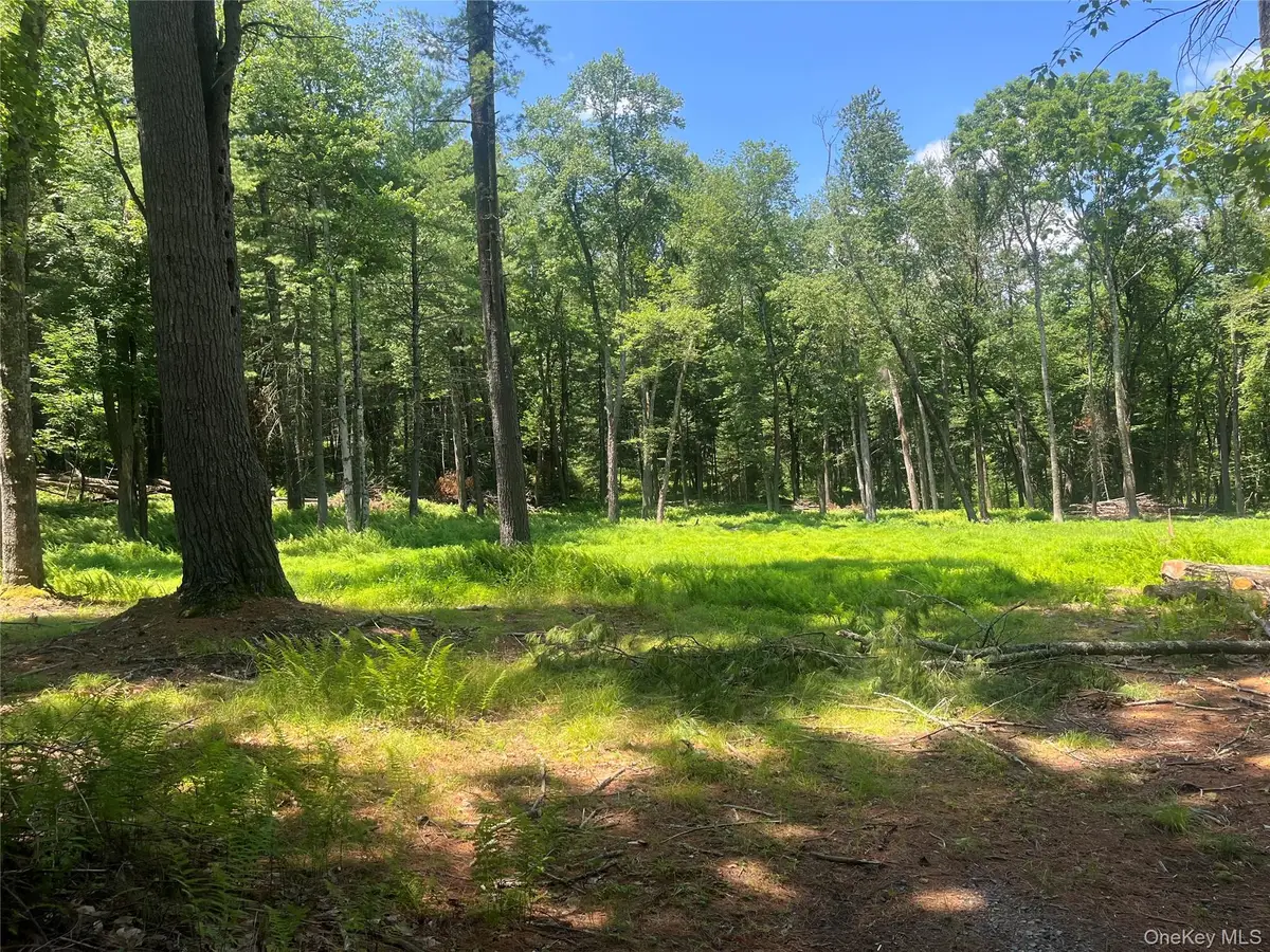 Geba Drive, Glen Spey, NY 12737 - #1