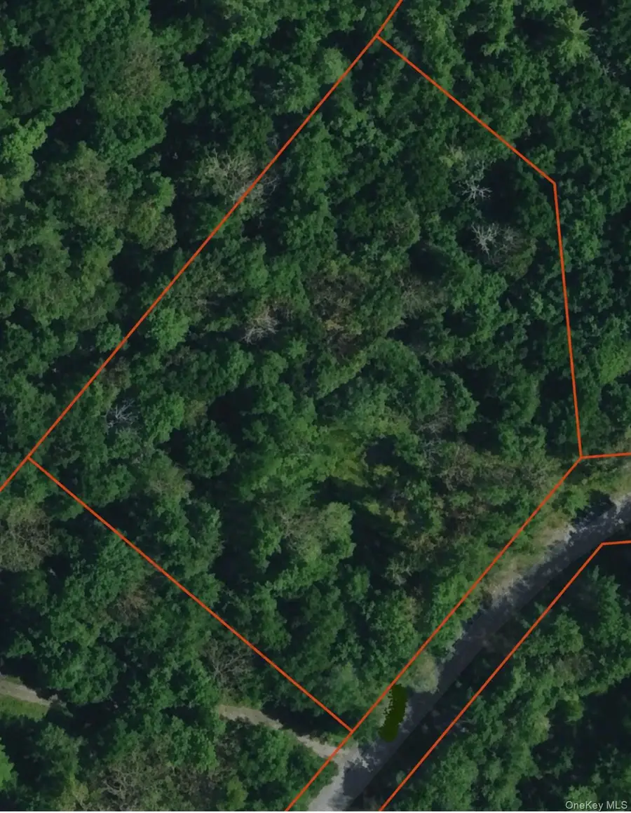Geba Drive, Glen Spey, NY 12737 - #2