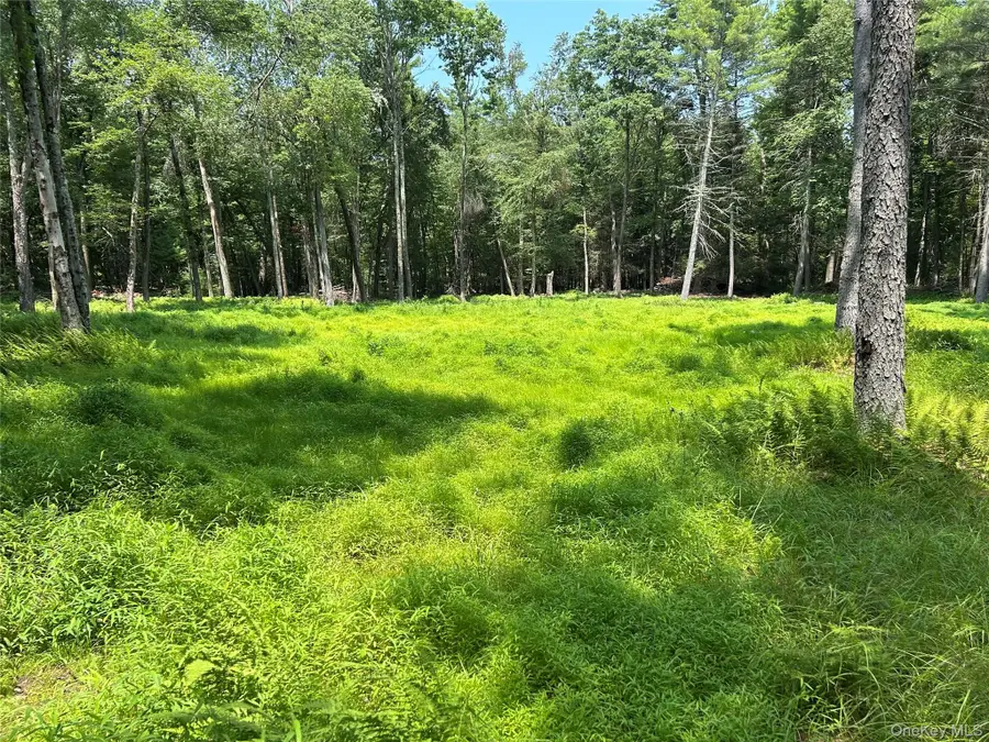 Geba Drive, Glen Spey, NY 12737 - #3