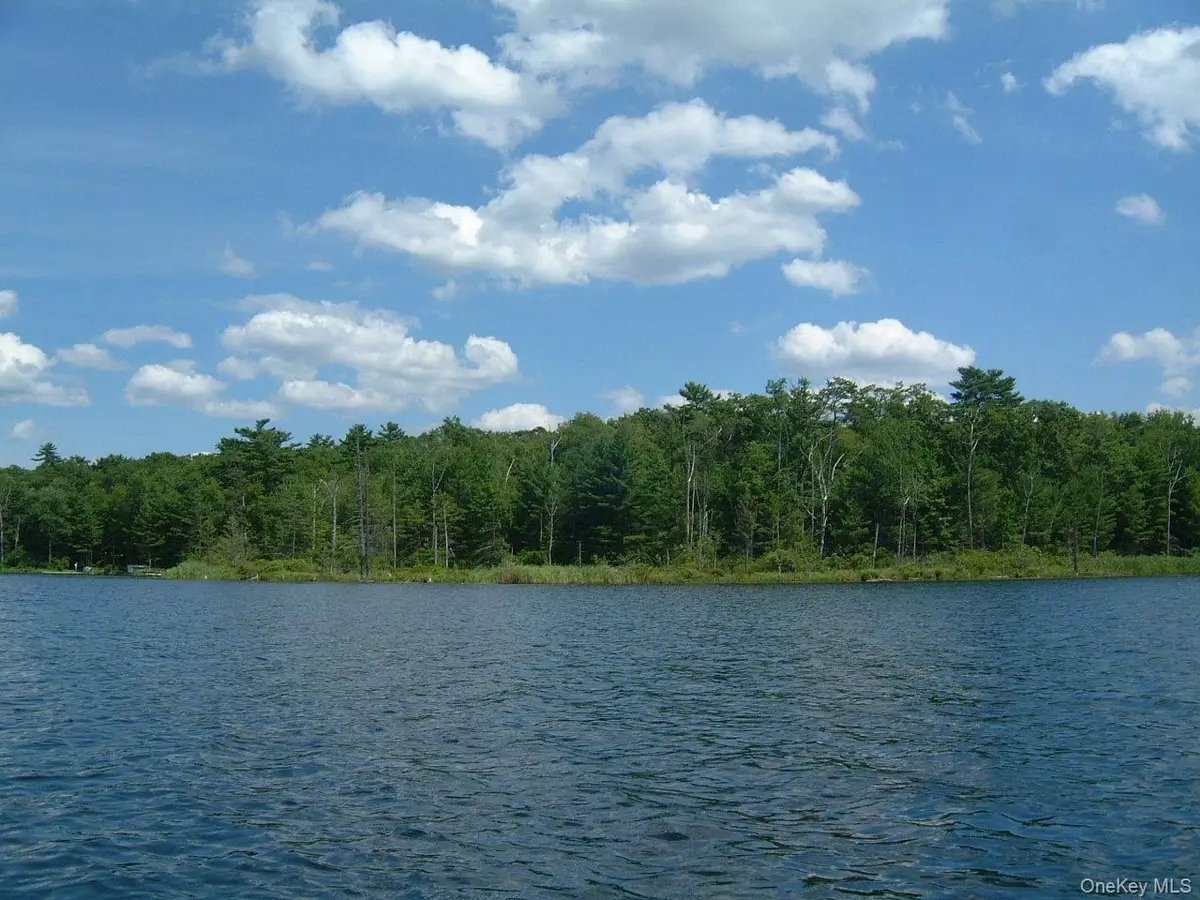 Hartung Road, Highland Lake, NY 12743 - #1