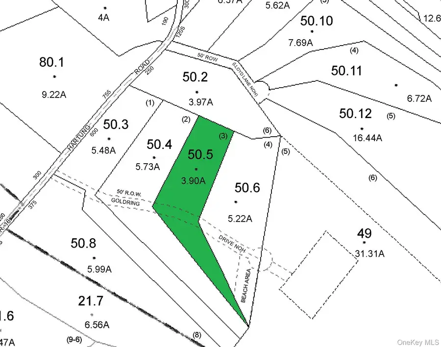 Hartung Road, Highland Lake, NY 12743 - #2