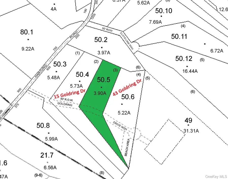 Hartung Road, Highland Lake, NY 12743 - #3