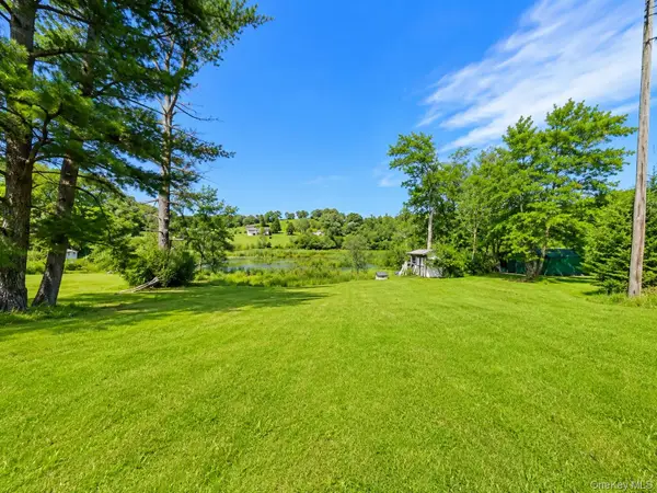 601 Briscoe Road, Swan Lake, NY 12783