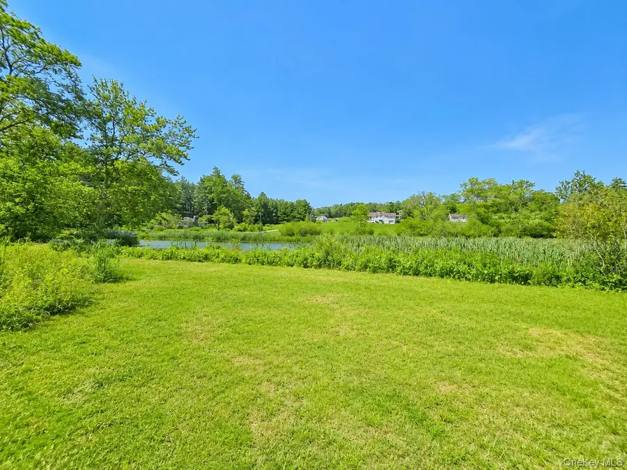 601 Briscoe Road, Swan Lake, NY 12783 - #3