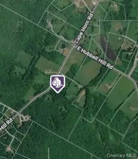 Hubbell Hill Road, Margaretville, NY 12455 - #3
